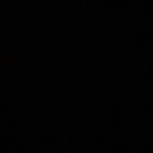 Meet your Posher, Maddison